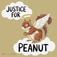 Justice For Peanut The Squirrel Polo thumb 2