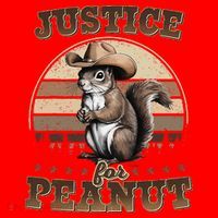 Justice For Peanut The Squirrel P地Ut Pnut Peanut Squirrel Santa Hat thumb 1