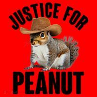 Justice For Peanut The Squirrel Santa Hat thumb 1