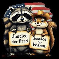 Justice For Peanut The Squirrel And Fred The Raccoon Women's Hoodie thumb 2