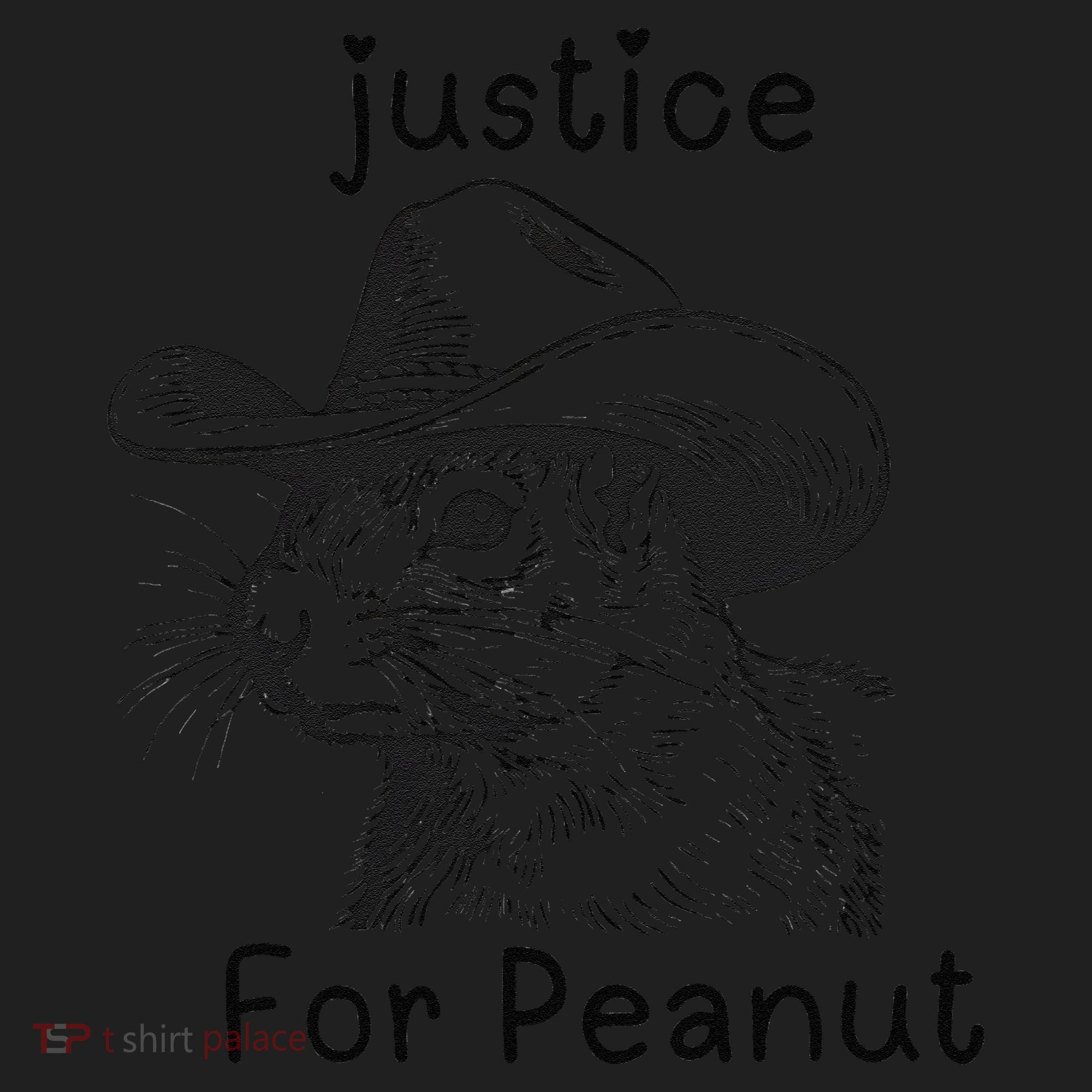 Justice For Peanut The Squirrel P地Ut Pnut Peanut Squirrel Women's Sweatshirt