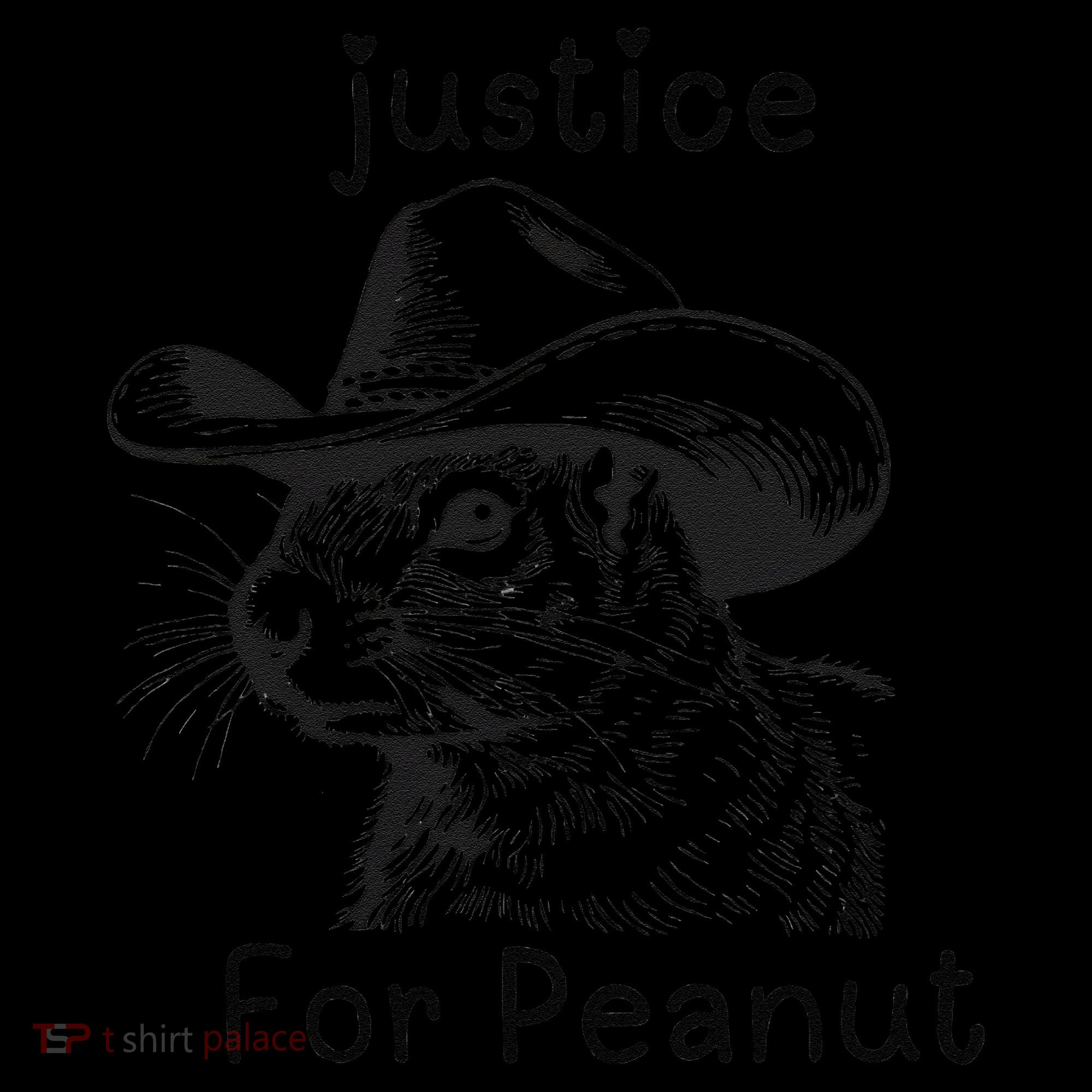 Justice For Peanut The Squirrel P地Ut Pnut Peanut Squirrel Toddler Hoodie