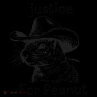 Justice For Peanut The Squirrel P地Ut Pnut Peanut Squirrel Kids Sweatshirt thumb 2