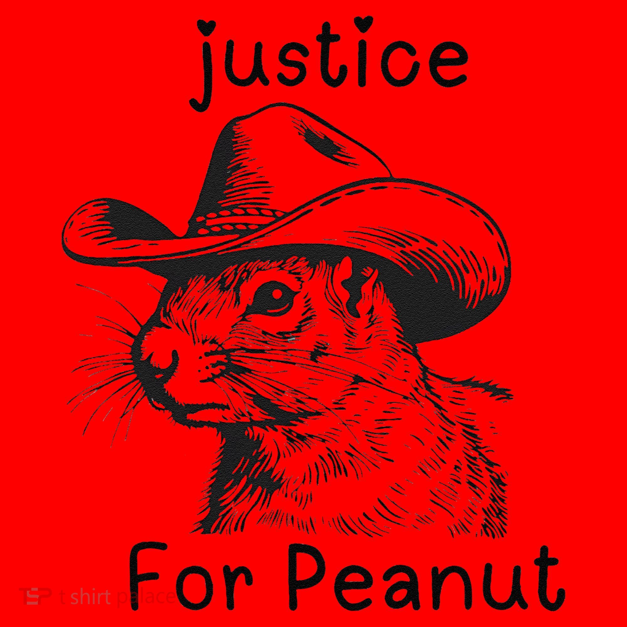 Justice For Peanut The Squirrel P地Ut Pnut Peanut Squirrel Santa Hat