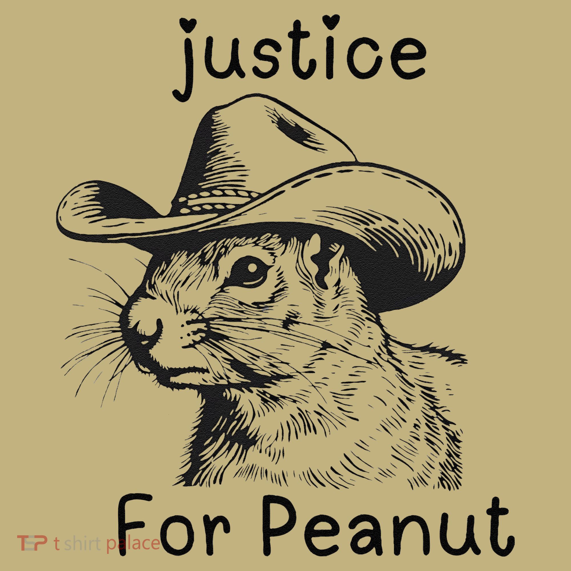 Justice For Peanut The Squirrel P地Ut Pnut Peanut Squirrel Long Sleeve Shirt
