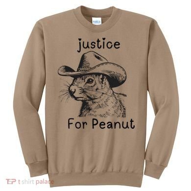 Justice For Peanut The Squirrel P地Ut Pnut Peanut Squirrel Sweatshirt