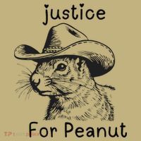 Justice For Peanut The Squirrel P地Ut Pnut Peanut Squirrel Sweatshirt thumb 2