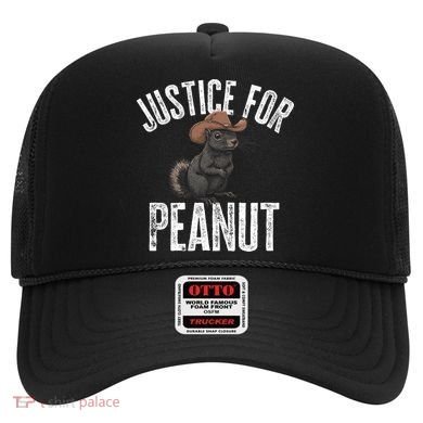 Justice For Peanut The Squirrel Peanut Squirrel Hat