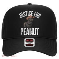 Justice For Peanut The Squirrel Peanut Squirrel Hat thumb 0
