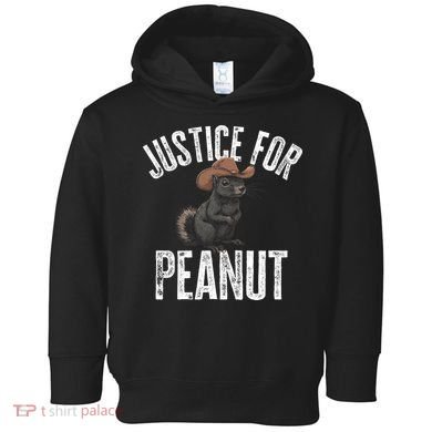 Justice For Peanut The Squirrel Peanut Squirrel Toddler Hoodie