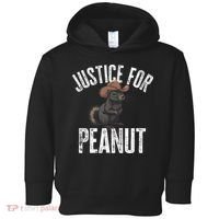 Justice For Peanut The Squirrel Peanut Squirrel Toddler Hoodie thumb 0