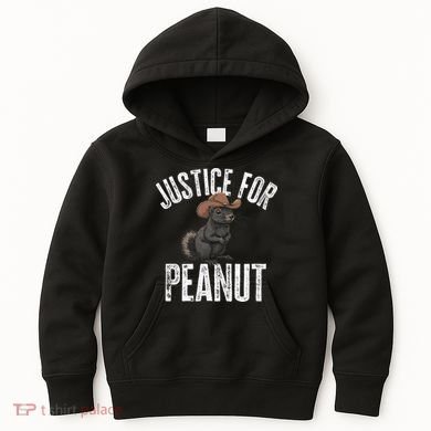 Justice For Peanut The Squirrel Peanut Squirrel Kids Hoodie