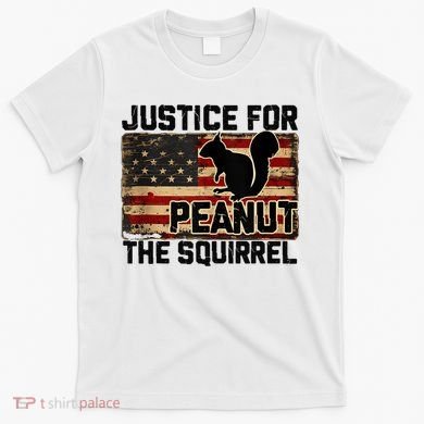 Justice For Peanut The Squirrel Vintage Usa Flag T-Shirt
