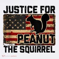 Justice For Peanut The Squirrel Vintage Usa Flag T-Shirt thumb 7