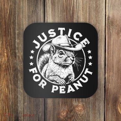 Justice For Peanut The Squirrel P’Nut Pnut Peanut Squirrel Coaster