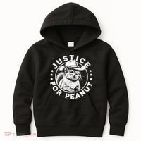 Justice For Peanut The Squirrel P’Nut Pnut Peanut Squirrel Kids Hoodie thumb 0