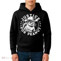 Justice For Peanut The Squirrel P’Nut Pnut Peanut Squirrel Kids Hoodie thumb 4