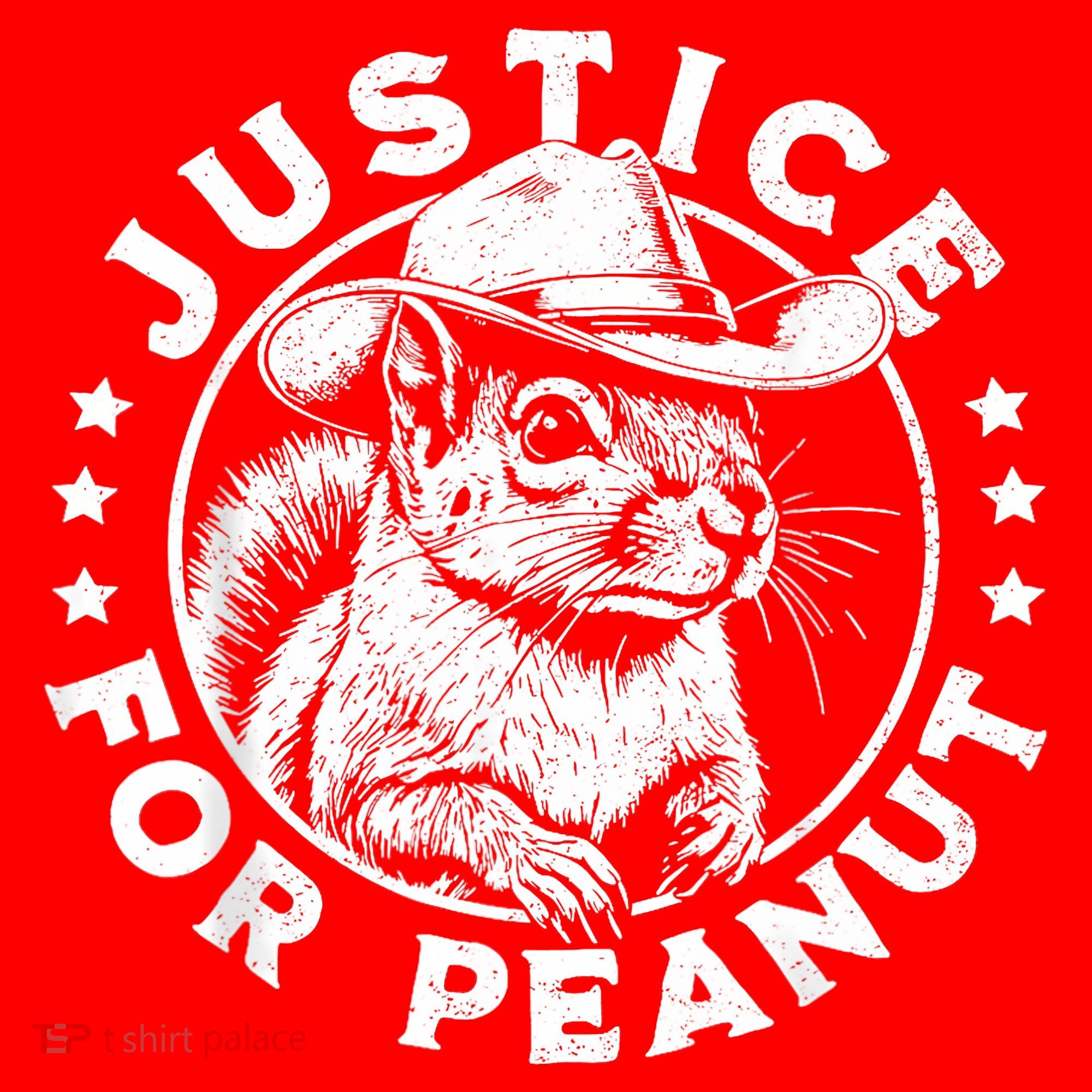 Justice For Peanut The Squirrel P’Nut Pnut Peanut Squirrel Santa Hat