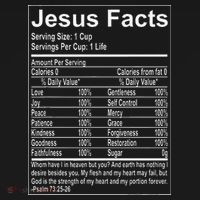 Jesus Facts Religious Studies Catholicism Ornament thumb 1