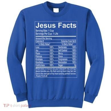 Jesus Facts Religious Studies Catholicism Sweatshirt