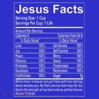 Jesus Facts Religious Studies Catholicism Toddler Hoodie thumb 2