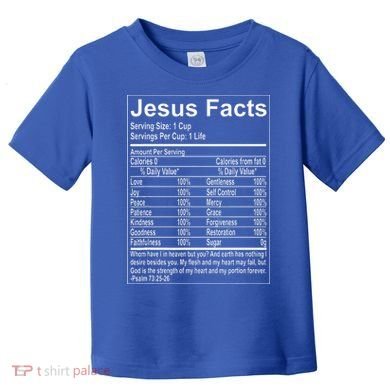 Jesus Facts Religious Studies Catholicism Toddler T-Shirt