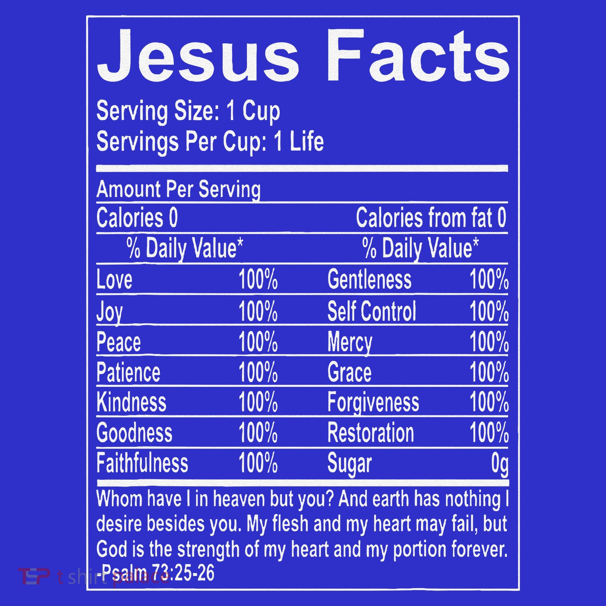 Jesus Facts Religious Studies Catholicism Women's T-Shirt
