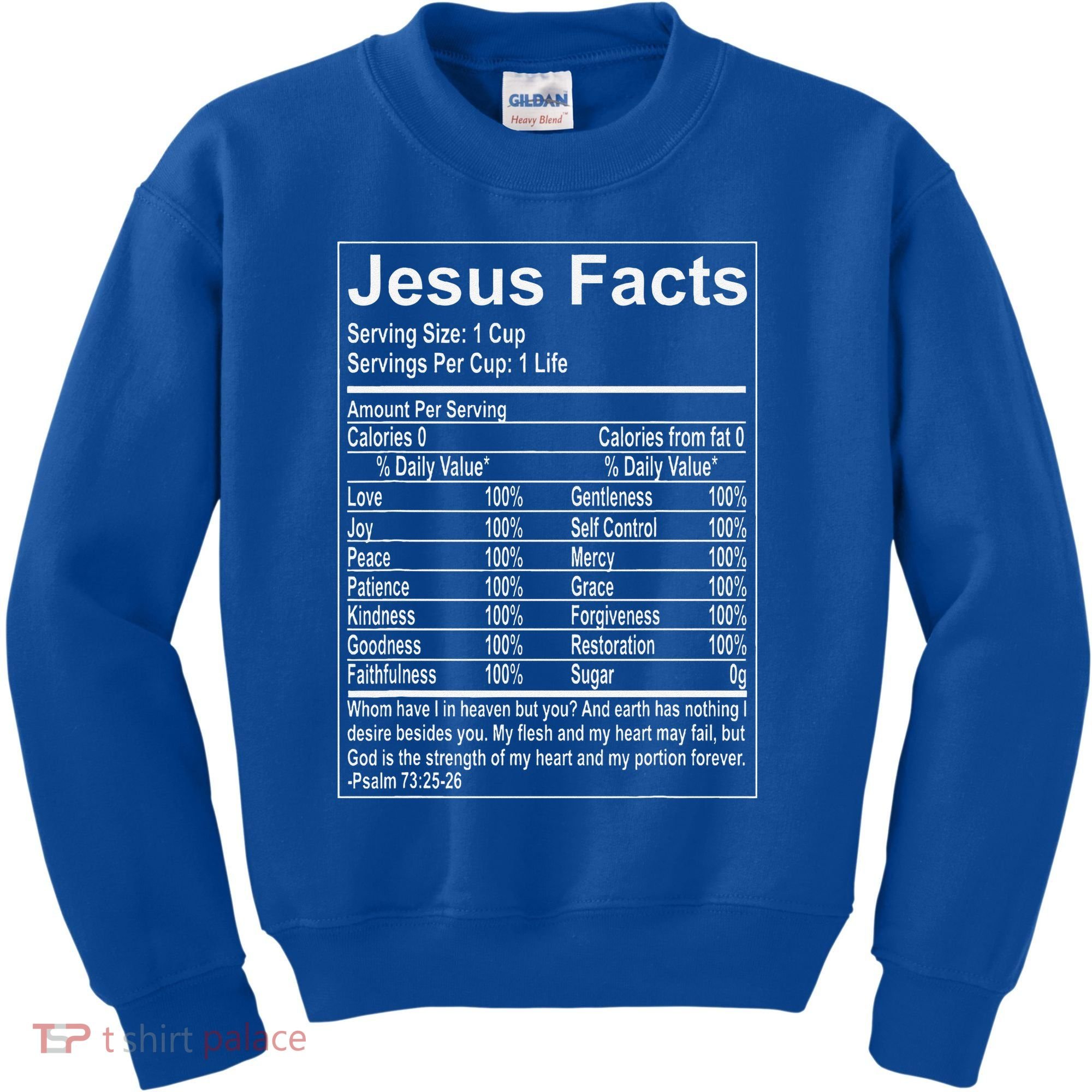 Jesus Facts Religious Studies Catholicism Kids Sweatshirt