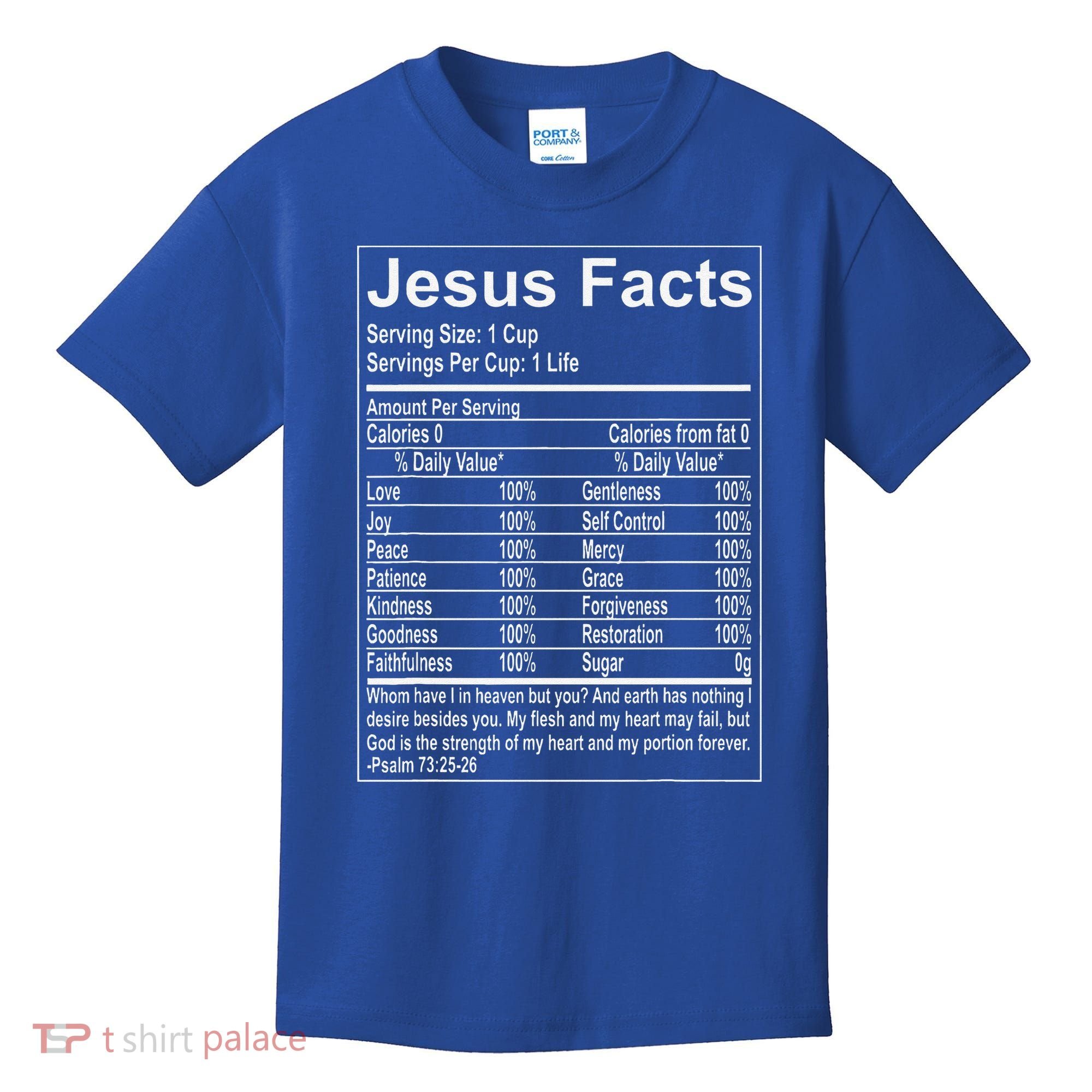 Jesus Facts Religious Studies Catholicism Kids T-Shirt