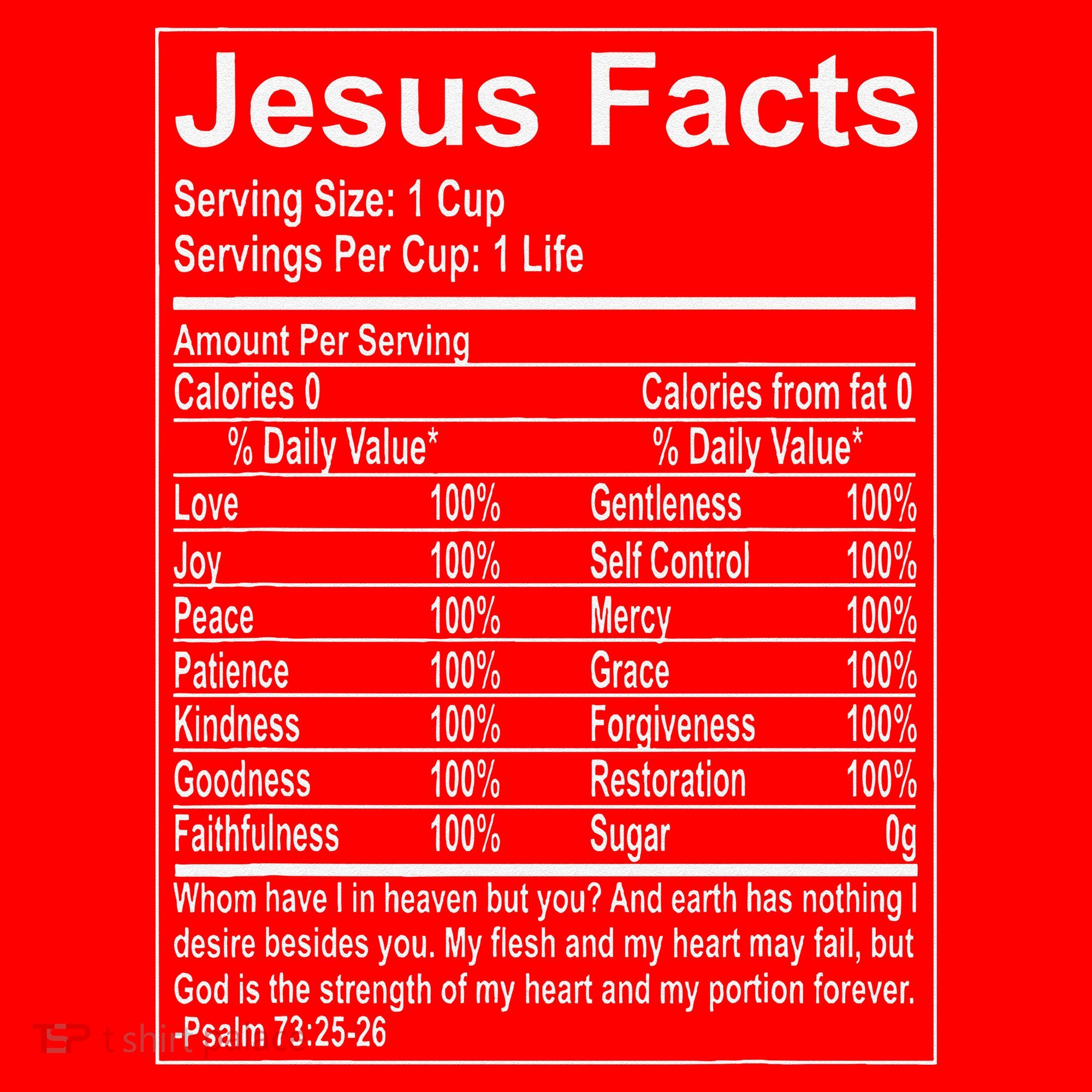 Jesus Facts Religious Studies Catholicism Santa Hat