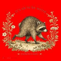 Jimothy From Seattle It’s OK To Be Weird Funny Raccoon Santa Hat thumb 1