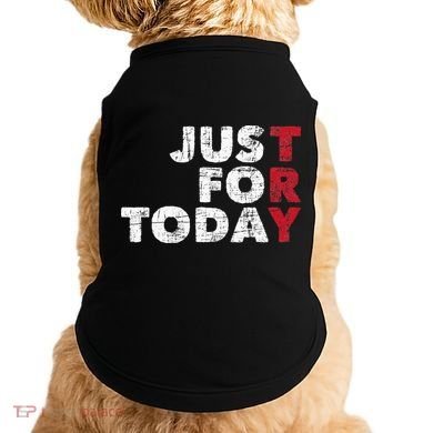 Just For Today Sobriety Anniversary Sober AA NA Recovery Doggie Tank