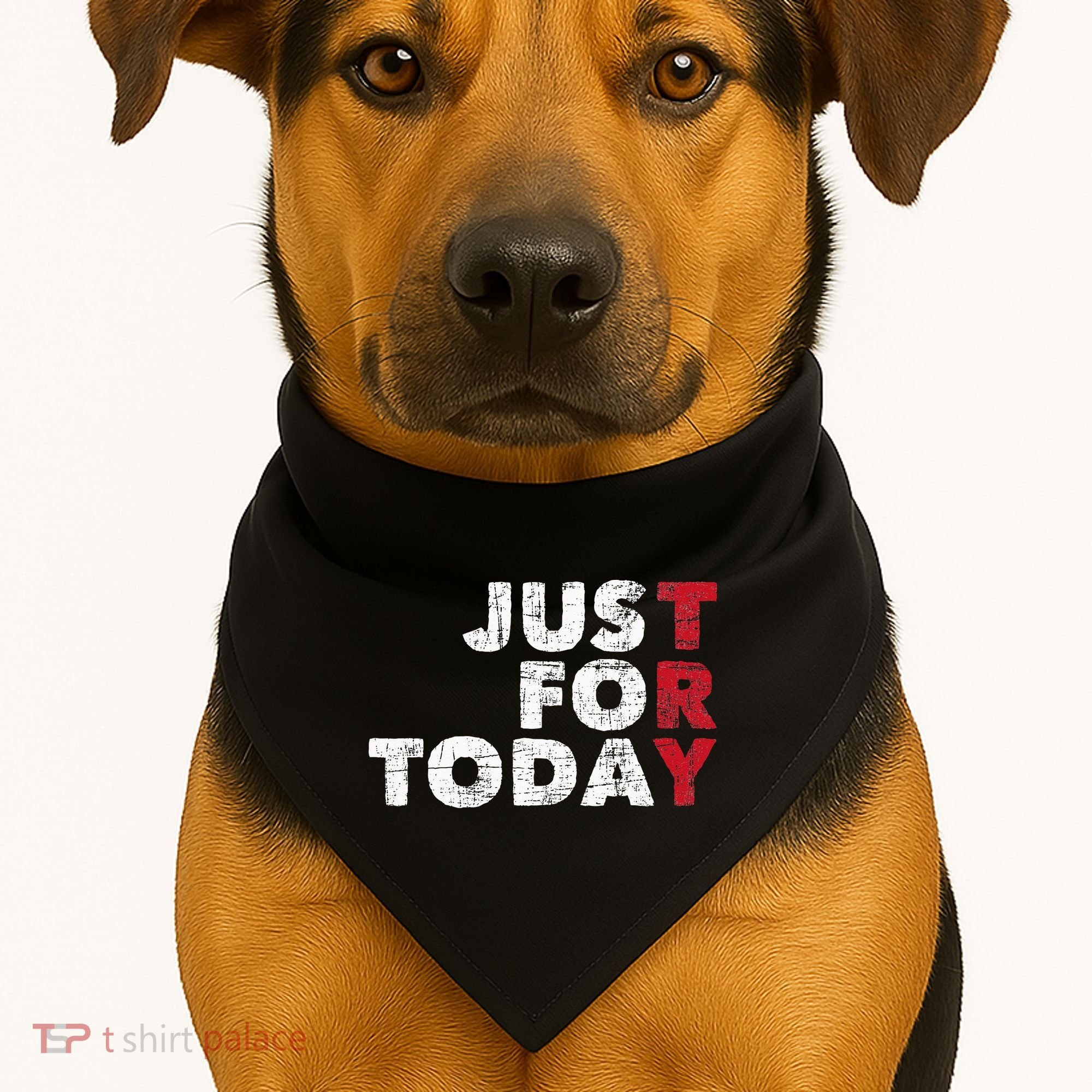 Just For Today Sobriety Anniversary Sober AA NA Recovery USA-Made Doggie Bandana