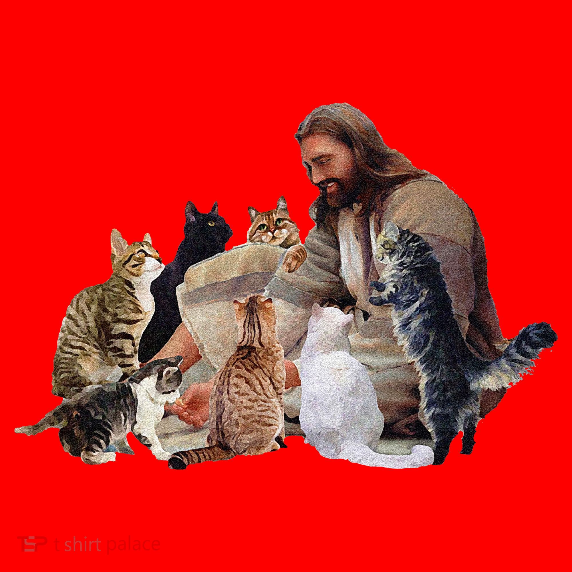 Jesus Hugs Cats Funny Cats Santa Hat