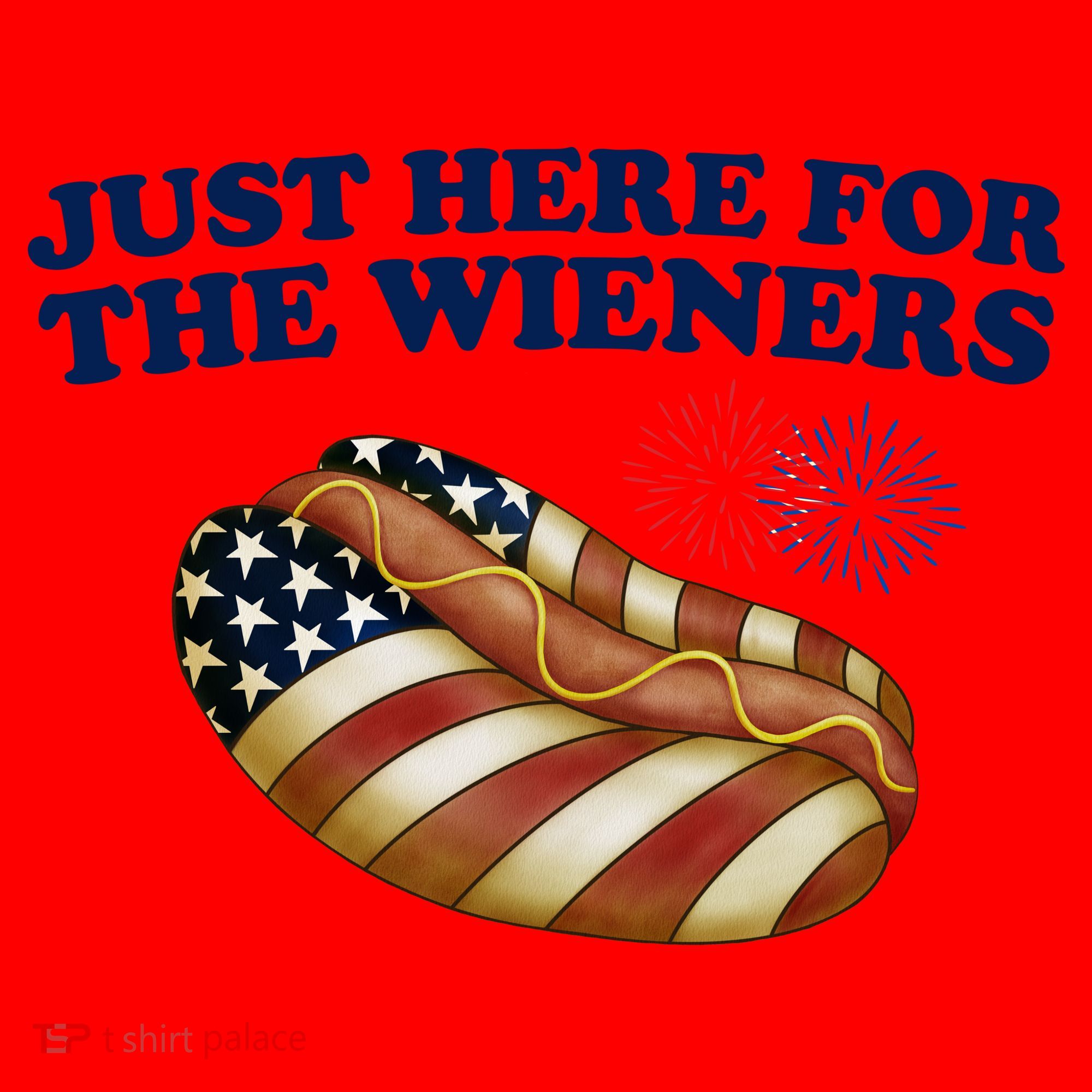 Just Here For The Wieners 4th Of July Santa Hat
