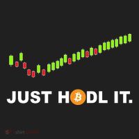 Just Hodl It Funny Crypto Trader Btc Bitcoin Investor Tumbler thumb 3