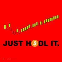 Just Hodl It Funny Crypto Trader Btc Bitcoin Investor Santa Hat thumb 1
