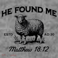 Jesus He Left 99 To Find Me Sheep Christian Hoodie thumb 7