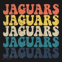 Jaguars High School Jaguars Sports Team Retro Jaguars T-Shirt thumb 7