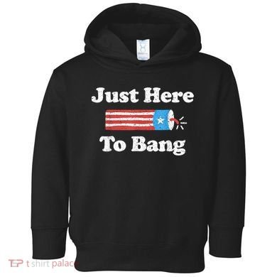 Just Here To Bang Funny 4th July American Flag Toddler Hoodie