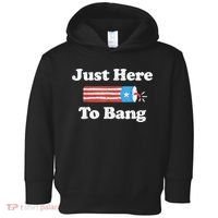 Just Here To Bang Funny 4th July American Flag Toddler Hoodie thumb 0