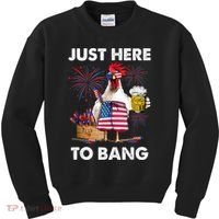 Just Here To Bang USA Flag Funny 4th Of July Chicken Beer Kids Sweatshirt thumb 0