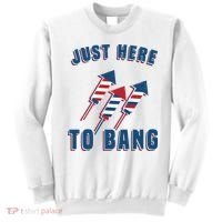 Just Here To Bang Funny 4th Of July Sweatshirt thumb 0