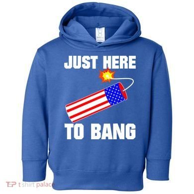 Just Here To Bang Gunpowder Flag Us Gift Toddler Hoodie