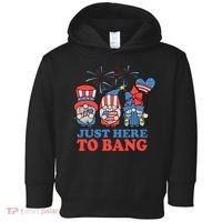 Just Here To Bang Gnome 4th Of July Toddler Hoodie thumb 0