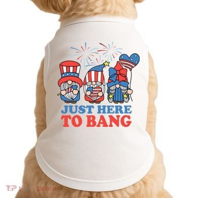 Just Here To Bang Gnome 4th Of July Doggie Tank