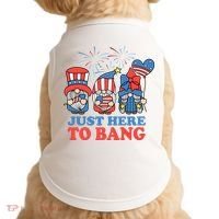 Just Here To Bang Gnome 4th Of July Doggie Tank thumb 0