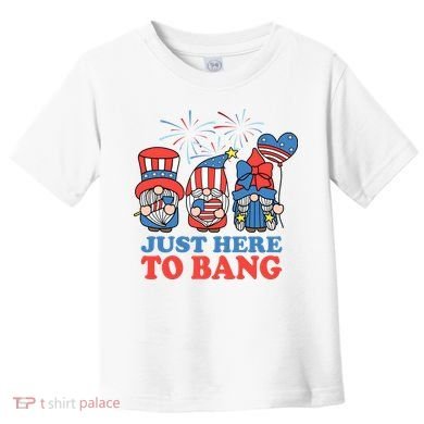 Just Here To Bang Gnome 4th Of July Toddler T-Shirt