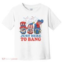 Just Here To Bang Gnome 4th Of July Toddler T-Shirt thumb 0