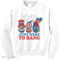 Just Here To Bang Gnome 4th Of July Kids Sweatshirt thumb 0